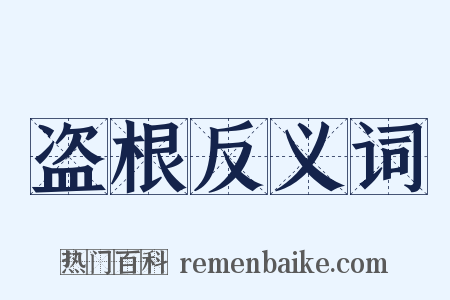 盗根反义词是什么意思的图片